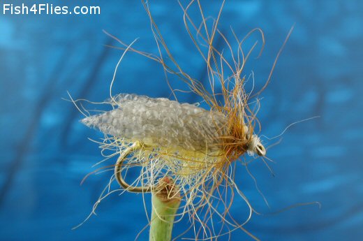 Vekenman's Sedge